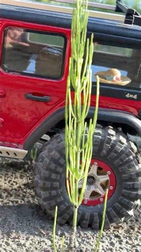 Welcome to the RC Family! - Absima Sherpa Pro #absima #absimasherpa #yk4102