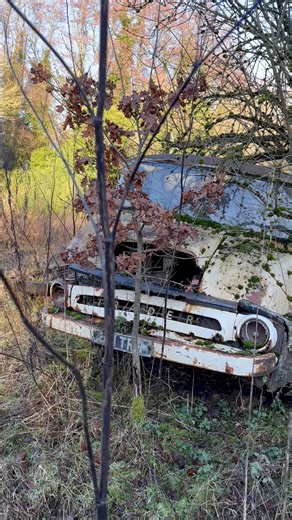 Abandoned Commercial Vehicles #automotive #automobile #cargram #cargraveyard #barnfind #barnfinds #abandoned #abandonedplaces #abandonedworld #truck #truckdriver #trucking #trucks #truckerlife #trucker #van #vanlife #vintage #retro #classic #nostalgia #fblifestyle #explorereels #exploremore #urbanexploration #abandonedcars #car #cars #viralchallenge #explore #exploremore #explorepage #explorereels #history | Exploring With Boss