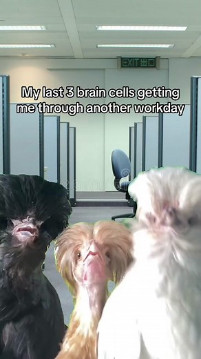 I be vibin 😎#worklifebelike #relatable #officehumor #atwork #workhumor #officelikebelike #havingfunatwork #workjokes #workmemes #funny #workhumor🤣 #fyp #fypシ #workbelike #chickensoftiktok