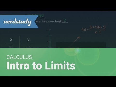 Intro to Limits | Calculus - Nerdstudy