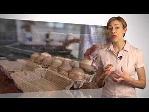 CPA Legitimacy (Outdated)