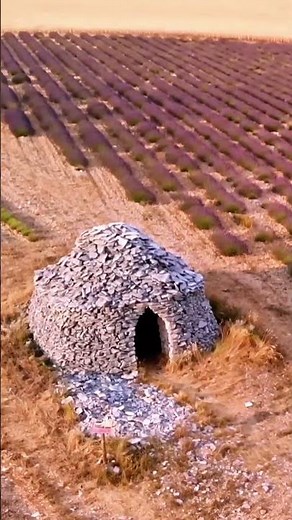 Valensole: a sea of lavender in Provence