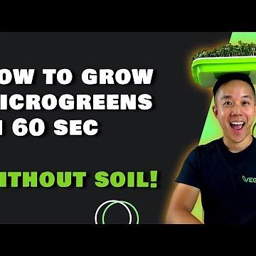 How To Grow Microgreens Without Soil In Just 60 seconds!
