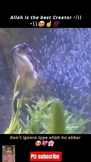 Surah Al ankabut part 4 kullu nafshi jaeqatul mout 😢☝️/ #surahalankabut#allahuakbar#quran#shortfeed