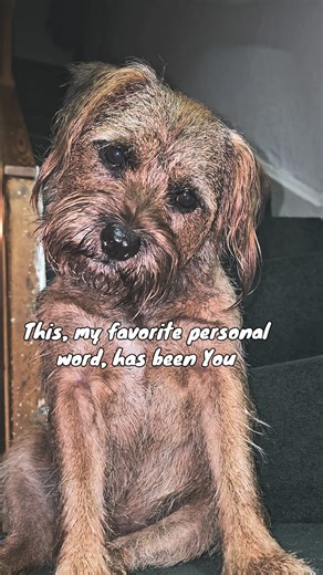 Thank you for being a part of my life Barney #dog #barney #pet #dogsofinstagram #doglover #dogs #lovedogs #pets | Saithip Kidd