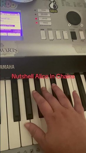 Nutshell Alice In Chains Piano Cover