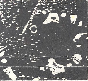 Flophouse - Chromium Sex-Death Dance