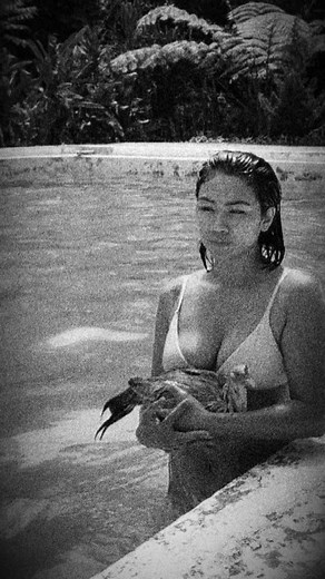 It's summer time! | Ann Panabong Breeder