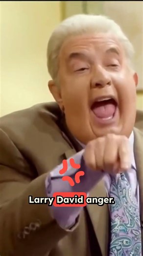 Larry David Loses It: "You Are a Moron!"