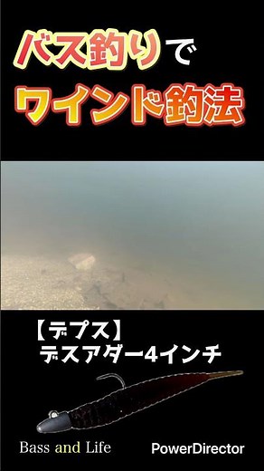 【水中映像】ワインド釣法×（デプス）デスアダー4インチ【バス釣り】 #バス釣り #fishing