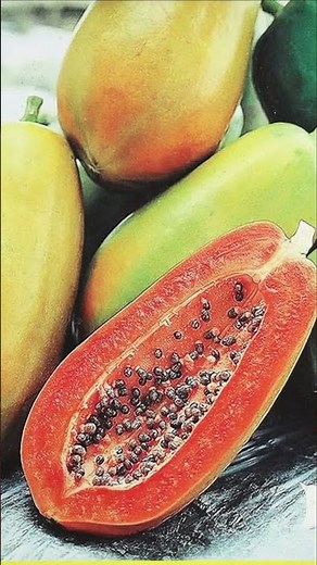 "Papaya Plants 🌱🍈 | Fast Growing Fruit in Telugu"