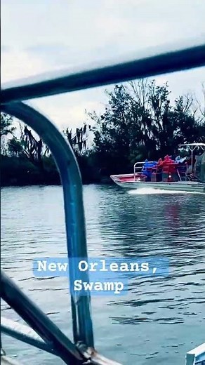 Swamp Tour - New Orleans | LA