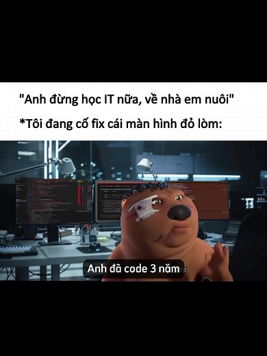 Meme hài hước về coder tâm huyết và tóc đẹp