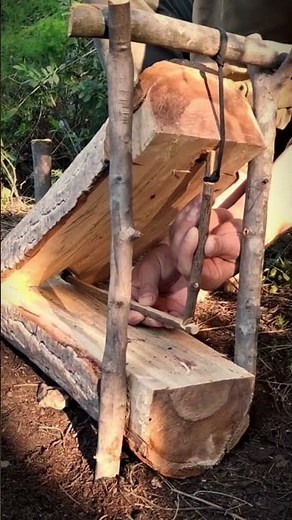 How to make a trap #survival #wildliferescue #animaltrap #bushcraft #birdtrap #wood #birdcontrol