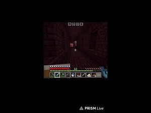 Minecraft.