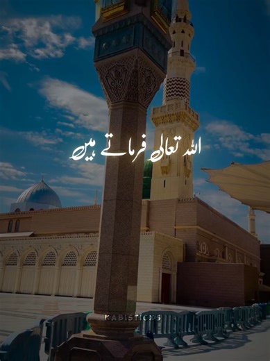 Translation of Holy Quran #allah #100k #quranexplorer #islamicvideo #allahuakbar @alquran_explorer