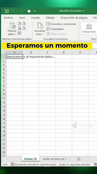 PRO EN ECXEL🧑🏻‍💻 Para muchos es muy difícil manejar ecxel pero realmente es muy facil y rapido de aprender, sigueme para aprendas a menejarlo desde cero y como todo un pro🧑🏻‍💻🔥 #ecxeltips #ecxel #o#ganoecxel #contadorespublicos #contadores