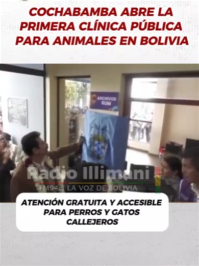 COCHABAMBA ABRE LA PRIMERA CLÍNICA PÚBLICA PARA ANIMALES EN BOLIVIA ATENCIÓN GRATUITA Y ACCESIBLE PARA PERROS Y GATOS CALLEJEROS En Cochabamba, Bolivia, se inauguró la primera clínica pública para animales, un espacio destinado a brindar atención veterinaria a costos accesibles y servicios gratuitos para perros y gatos en situación de calle, así como para aquellos bajo custodia de organizaciones animalistas. Esta iniciativa marca un hito en la protección y bienestar animal en el país, ofreciendo