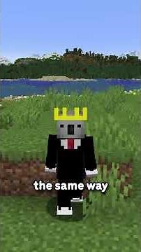 Is This Minecraft's New Sulfer Item...