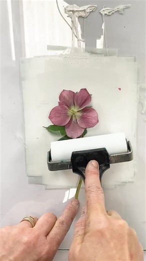 Impressions of Nature on Instagram: "Hellebores bloom through the dark days of winter, symbolising hope, renewal. Steeped in folklore, hellebores were once believed to ward off evil and bring protection. In Greek mythology, they were linked to Melampus, a healer who used them to cure the daughters of the King of Argos. In medieval times, they were used in rituals for blessing and guidance. Through Monoprinting and journaling I love to gather the mythology and folklore always led by the seasons a