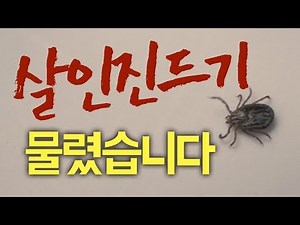 I was bitten by a tick (Ixodes erythrodermicus)