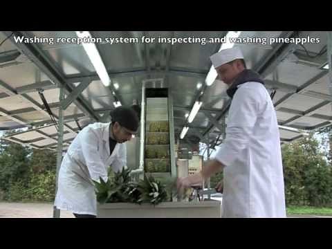 Mobile Pineapple Fruit Juice Processing Plant