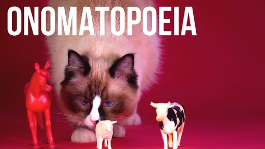 What is onomatopoeia? - BBC Bitesize