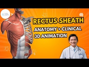 Rectus Sheath Anatomy | Applied Clinical Points | Abdominal Wall Muscles Explained !