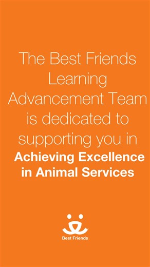 7.3K views · 105 reactions | Join us on a journey focused on excellence in animal services with our dedicated Learning Advancement team in collaboration with Southern Utah University!  From coursework curated by experts in the field to experiential learning to online learning communities, we are here to support and empower you in your animal services career! -ally | Best Friends Animal Society | Facebook