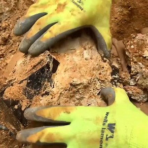 See some of the deepest purple Amethyst pulled right out of the pocket at Purple Heart Mine! #amethyst #thecrystalcollector | The Crystal Collector