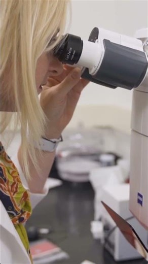 Top 3 Programs | Wake Forest University Online Immersion Program