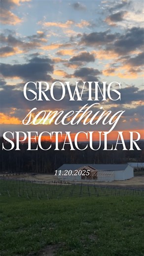 ✨ Imagine this view… surrounded by lush gardens, winding paths, and a greenhouse full of life. 🌿🌅 As the sun sets on this beautiful property, we can’t help but picture what’s ahead — a space grounded in nature, beauty, and connection. This land has so much to give, and we’re beyond excited to begin sharing the gardens, landscapes, and experiences that will soon grow here. 🌱🤍 Here’s to what’s blooming next. #ArchitecturalVines #Garden #SunsetViews #GoldenHour #NatureInspired #GrowingSomething