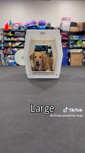 Choosing the Right Size Ruffland Kennel for Your Dog