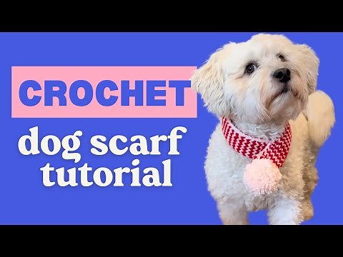 CROCHET - Dog Scarf Tutorial (perfect christmas gift!)
