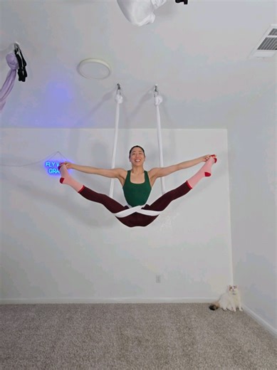 Happy Holidays from the Aerial Community