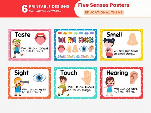 Educational Theme Five Senses Posters Printable Prek 5 Senses Grounding Technique Posters Classroom Wall Decor Sensory Learning Kids Posters - Etsy