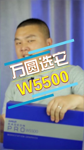 AMD W5500专业图形显卡。