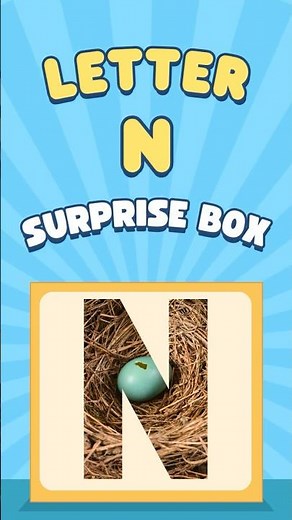 Letter N Words | Guess What’s Inside! | Alphabets