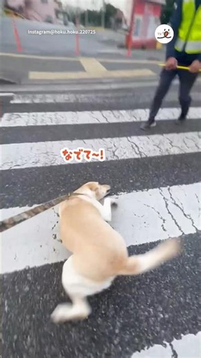 I found a kind uncle who loves me... | PECO