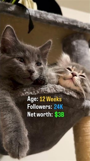 Their climb to the top cannot be stopped.