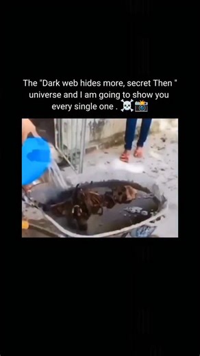 darkweb.hides on Instagram: "This short video clip, which appears to be a lighthearted or DIY-themed demonstration, shows a person replacing a standard shower head with an LED light bulb. The video begins with a quick, shaky shot before settling on a person's hand pointing at a wall-mounted shower head that is actively spraying water. The camera then cuts to a close-up of a hand holding a white, modern-looking LED light bulb over a sink basin. The person then takes the light bulb and, in a comic