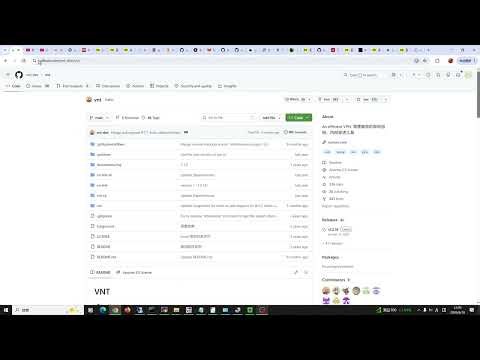 【第983期】【vnt课程】（no-proxy模式：上）no-proxy模式与禁用此模式时，作退出节点代理0.0.0.0/0流量的区别！理论上no-proxy模式可以为爪云容器提供网关服务？