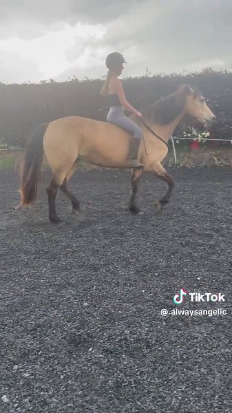 angel is definitely a horse out of the ordinary, when we first met i didn’t know if i’d ever be able to do any more than struggle to stay on her while she threw some impressive moves and tested me more than anyone ever has🤣and now she would jump the moon for me if i asked, she made me prove myself to her and now we’re learning new things together💕 in less than a year angel managed to recover from a back problem which she had for years before i met her, but through mainly working together as a 