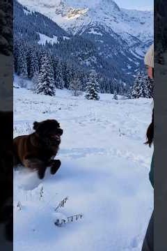 Pancakes in the Snow ❄️ Winter Morning in Grindelwald | Solo Winter Vlog
