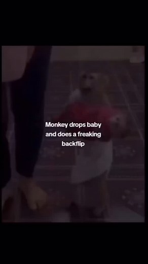 Fliponke on Instagram: "Day 104"