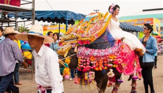 ‘Miss Buffalo Beauty Contest’ held in Thailand