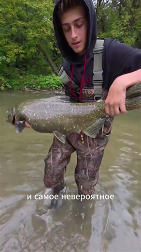 Как лосось находит дорогу домой за тысячи километров? 🐟🏔️ #лосось #рыбы #природа #факты #shorts 🐟