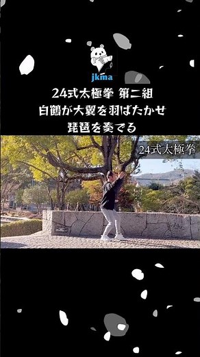 【太極拳の螺旋】大翼と琵琶 開合の妙技