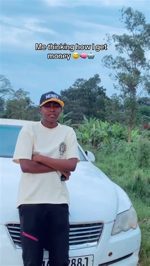 Forex Trading Strategies for Beginners