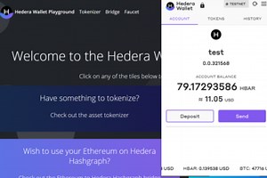 Hedera Wallet Browser Extension and Companion Web App